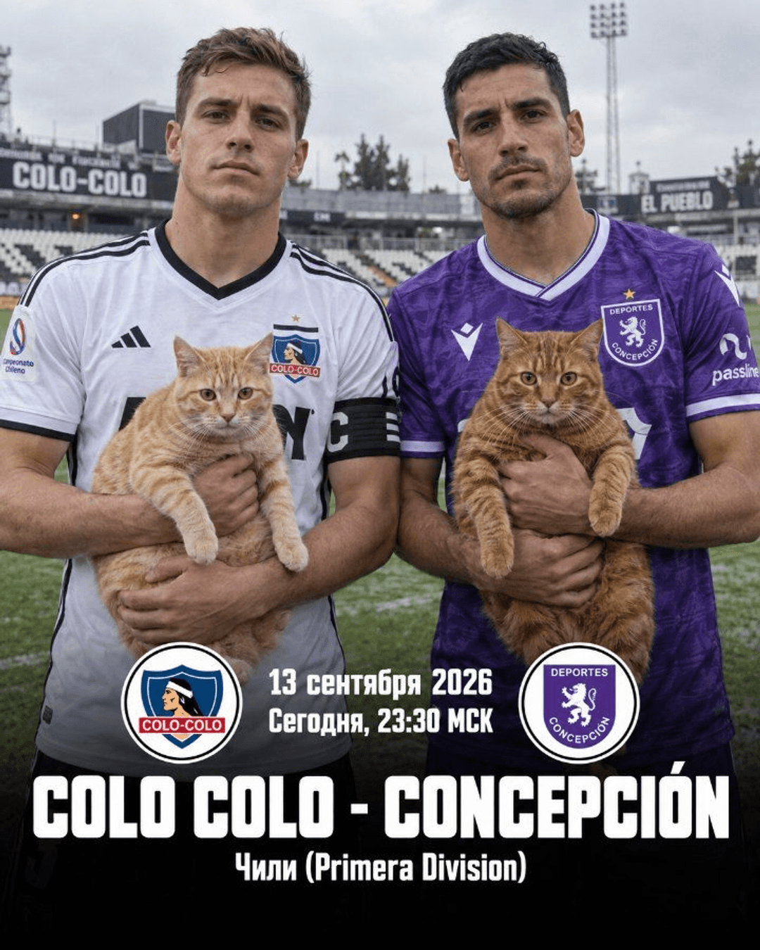 Colo Colo — Concepción