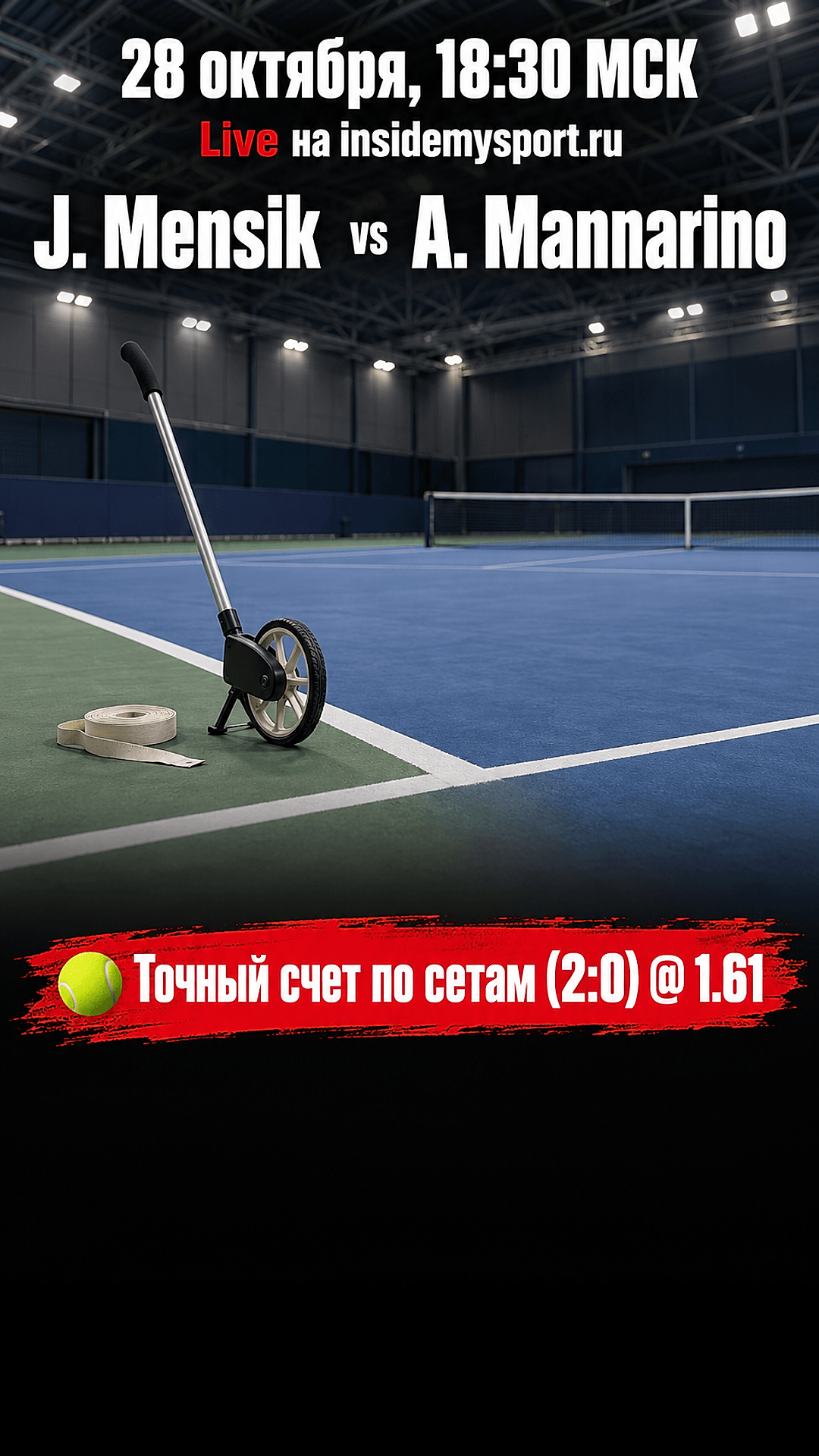 Прогноз Я. Меншик - А. Маннарино на теннисный матч 28 октября 2026