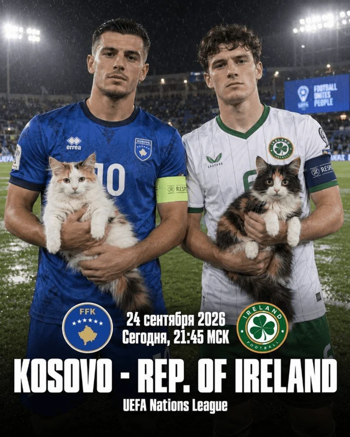 Прогноз Косово — Ирландия на 24 сентября 2026